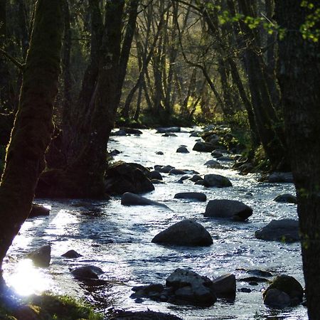 Le Gite De Chomet La Tour-dʼAuvergne Exterior foto
